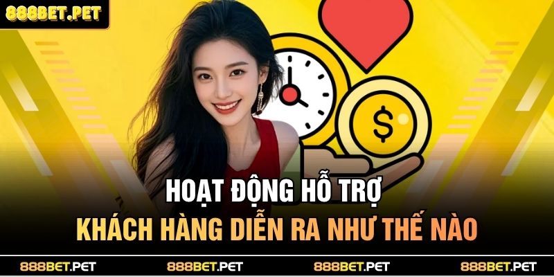 Hoạt động hỗ trợ khách hàng diễn ra như thế nào